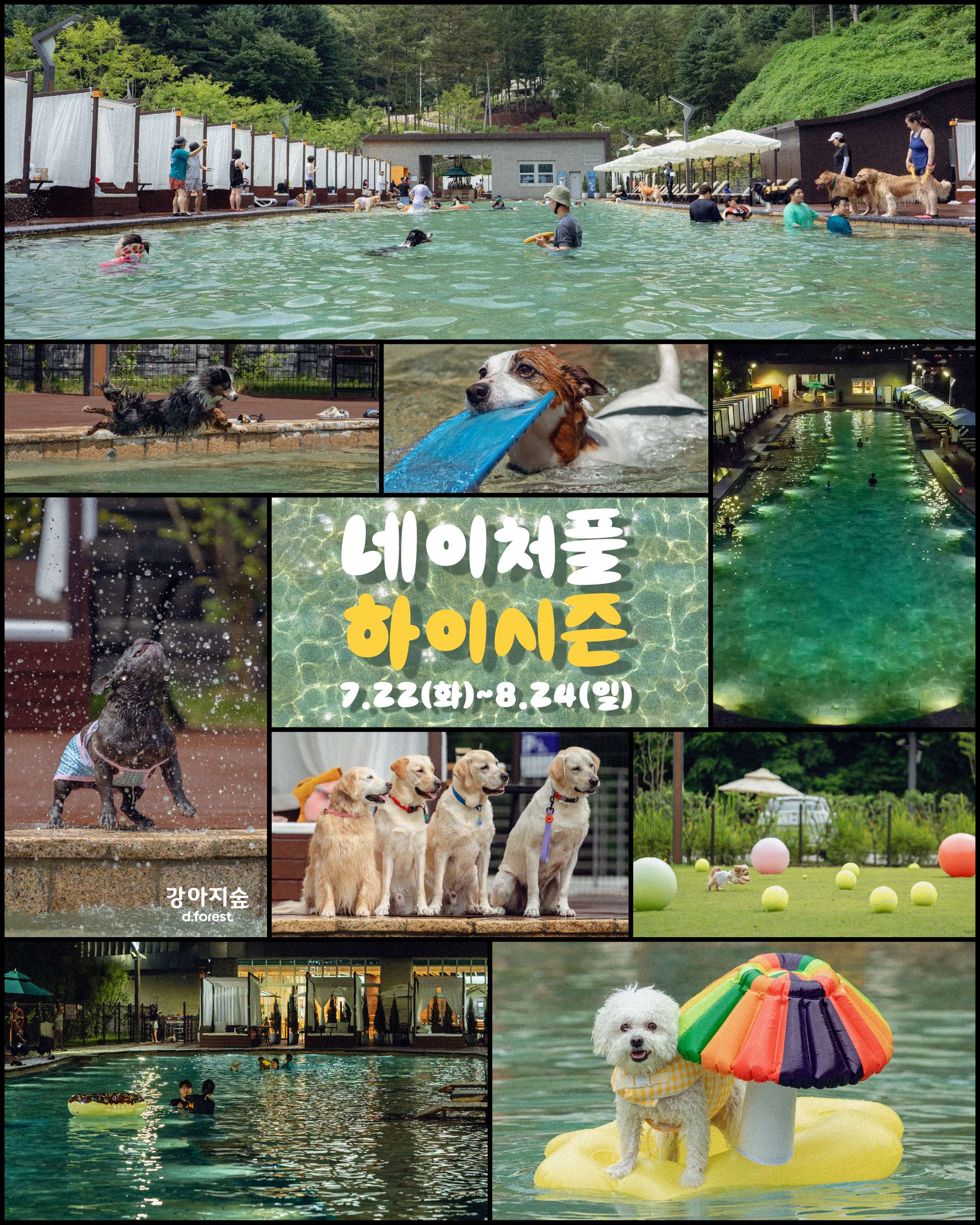 섬네일